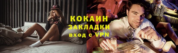 индика Елабуга