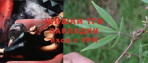 гидра Елизово
