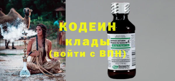 индика Елабуга