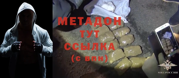 индика Елабуга