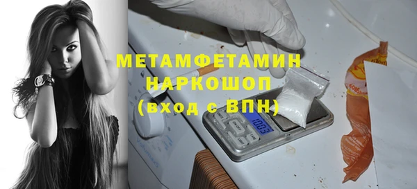 индика Елабуга