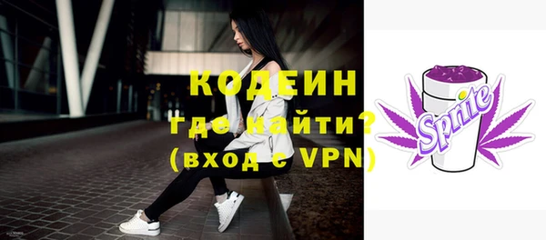гидра Елизово