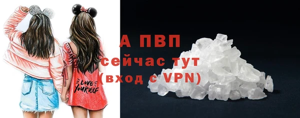 гидра Елизово