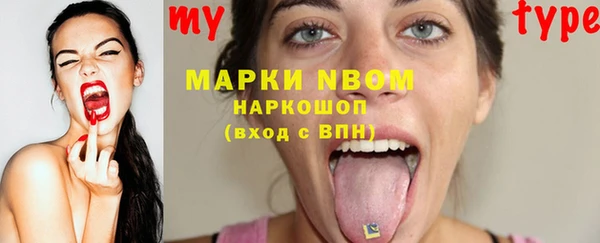 индика Елабуга
