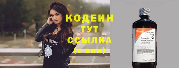 гидра Елизово