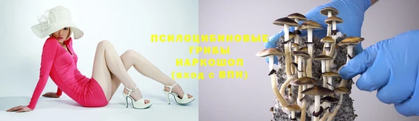индика Елабуга