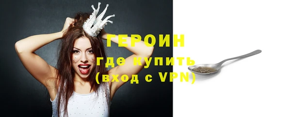 индика Елабуга