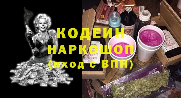 индика Елабуга