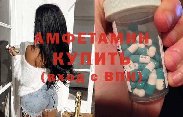 гидра Елизово