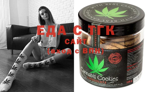 индика Елабуга