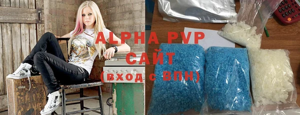 гидра Елизово