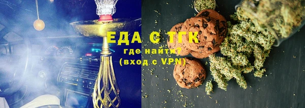 индика Елабуга