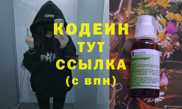 гидра Елизово