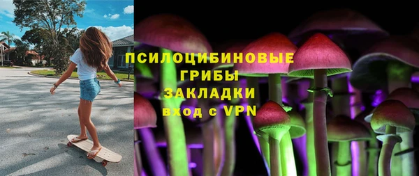 PSILOCYBIN Дмитровск