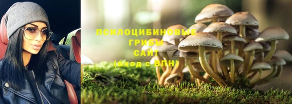 гидра Елизово